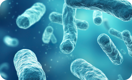 The Probiotic Shield